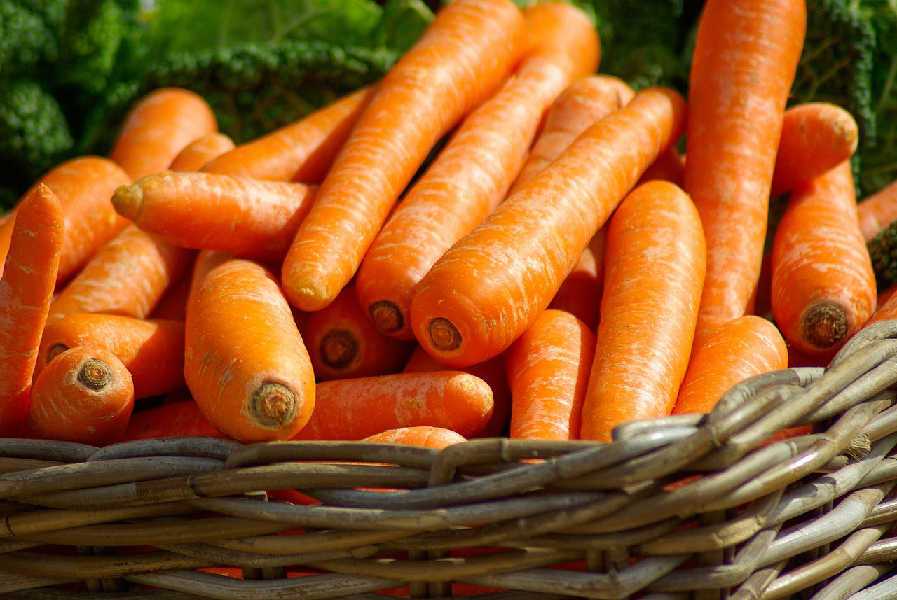 Little Finger Carrots