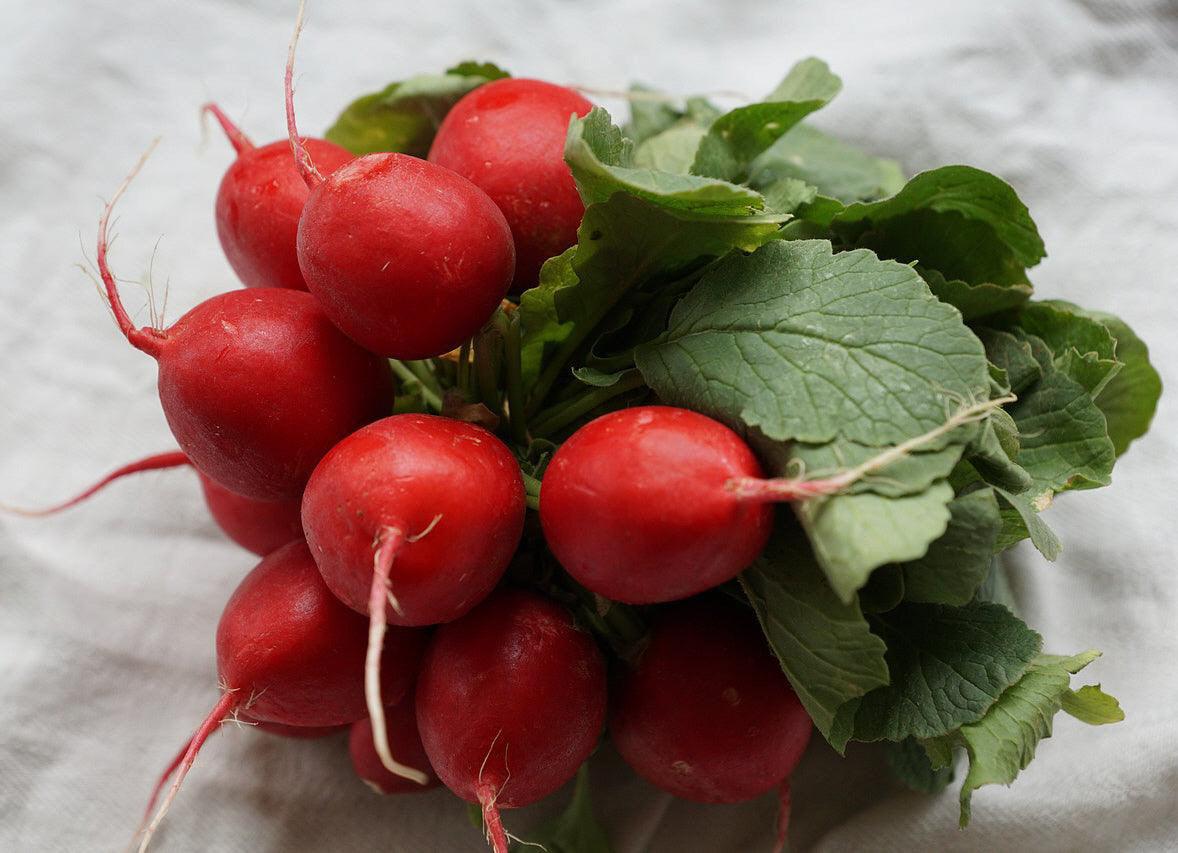Crimson Radish - Cheap Seeds, LLC