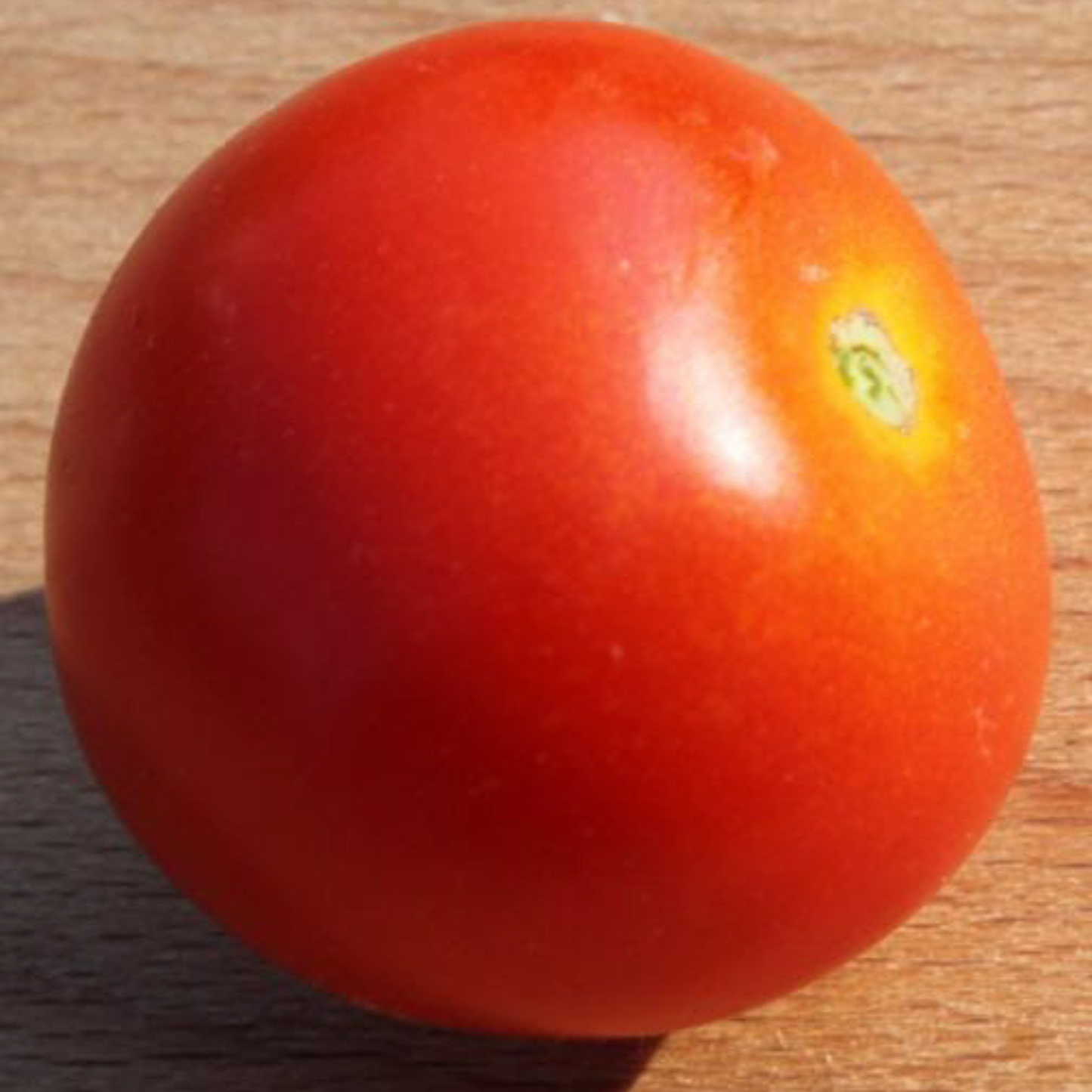 Close-up of a red tomato on a wooden surface
