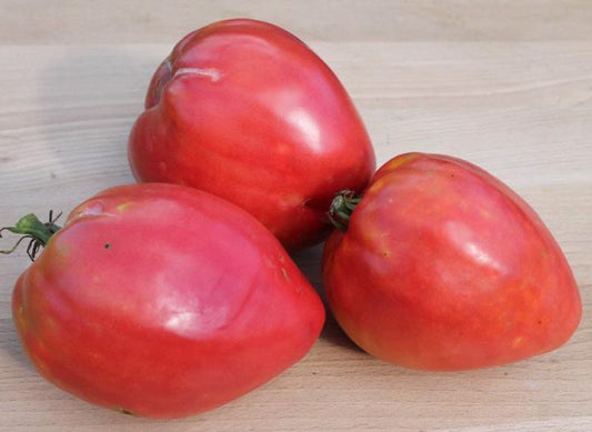 Monkey Ass Tomato - Cheap Seeds, LLC