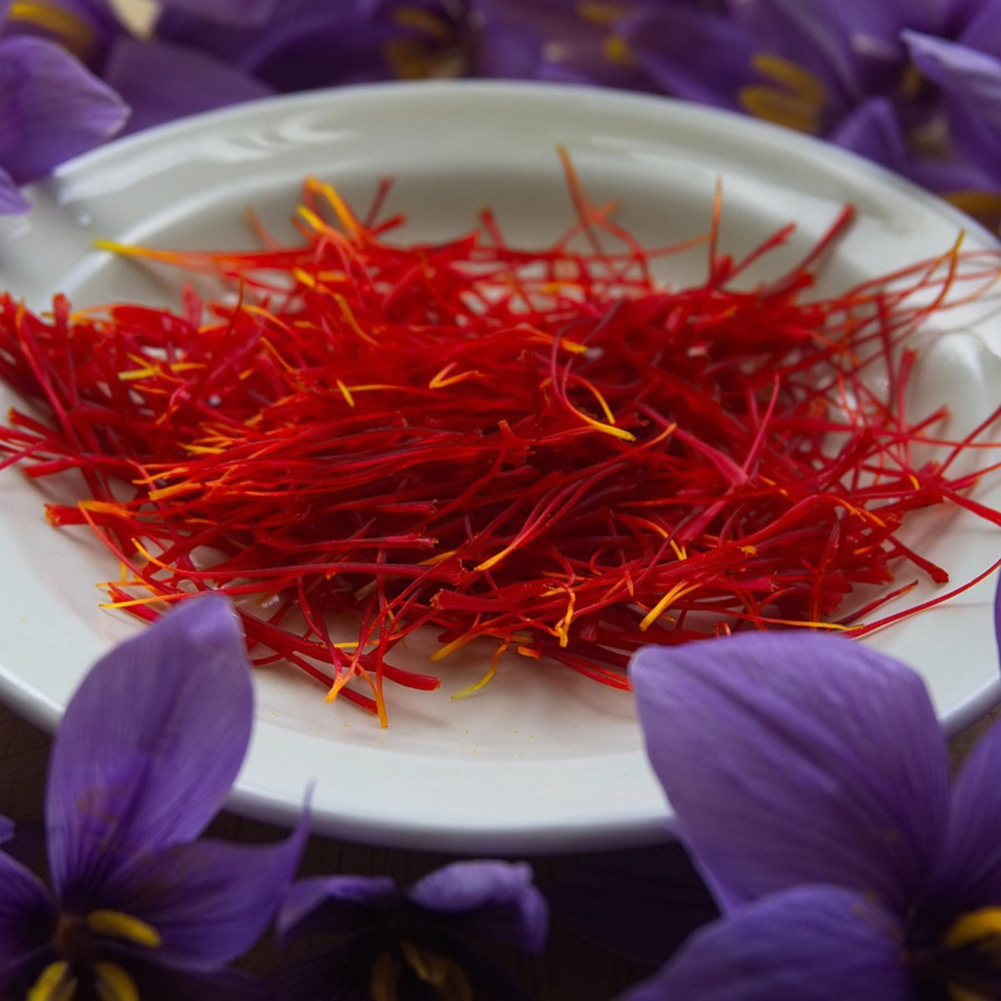 saffron threads collected in a white plate with saffron flower blooms.