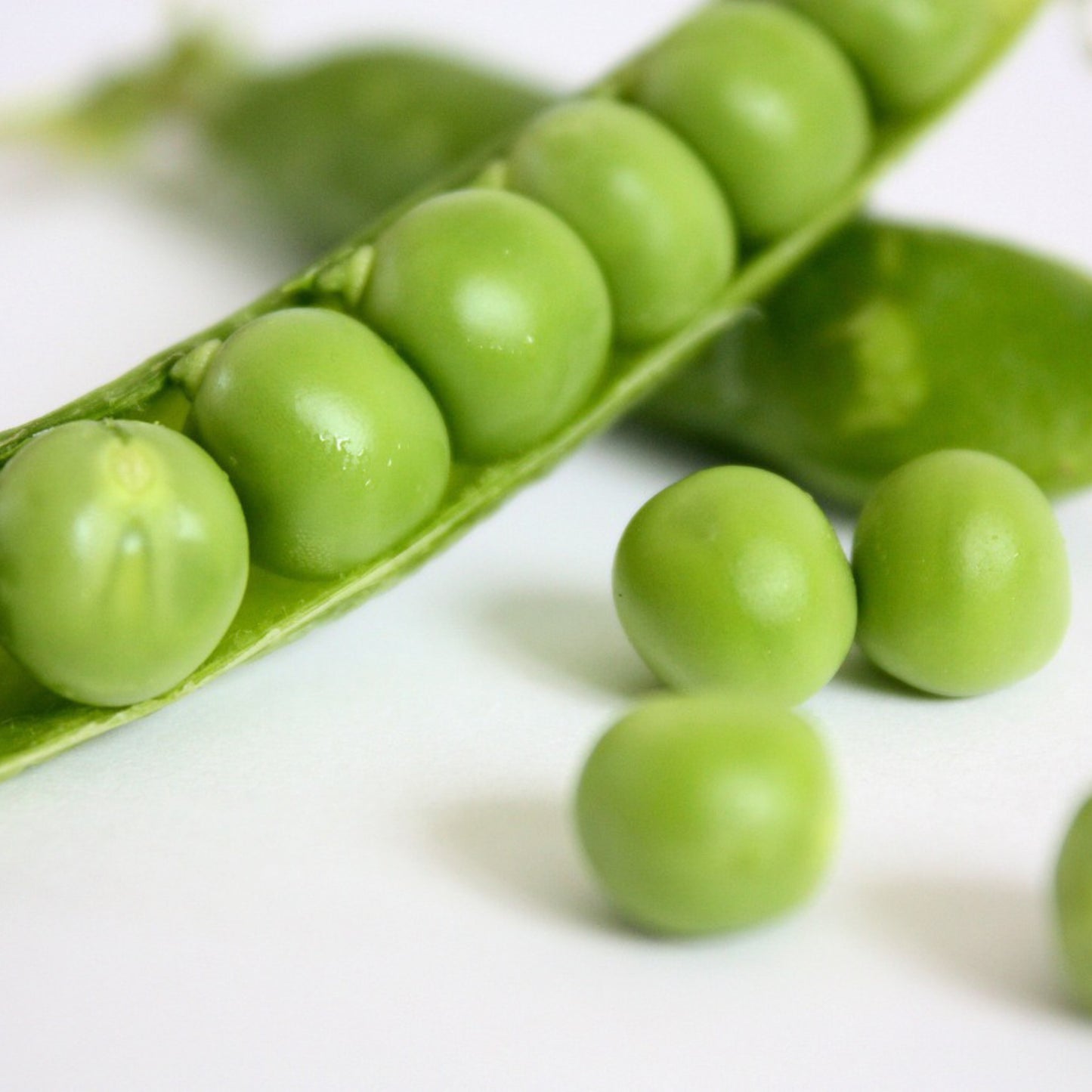 Build Your Own Heirloom Seed Collection