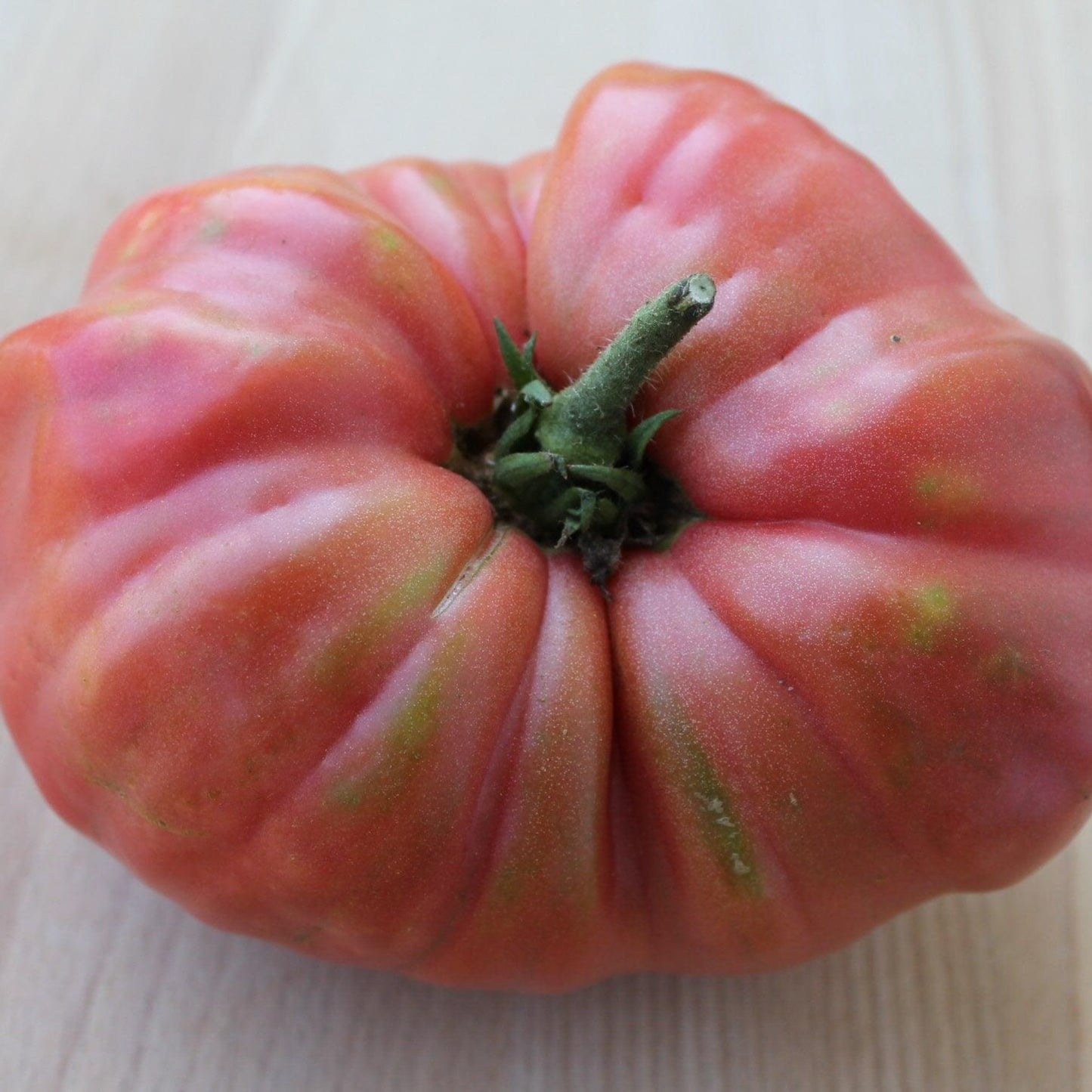 Bear Claw Tomato