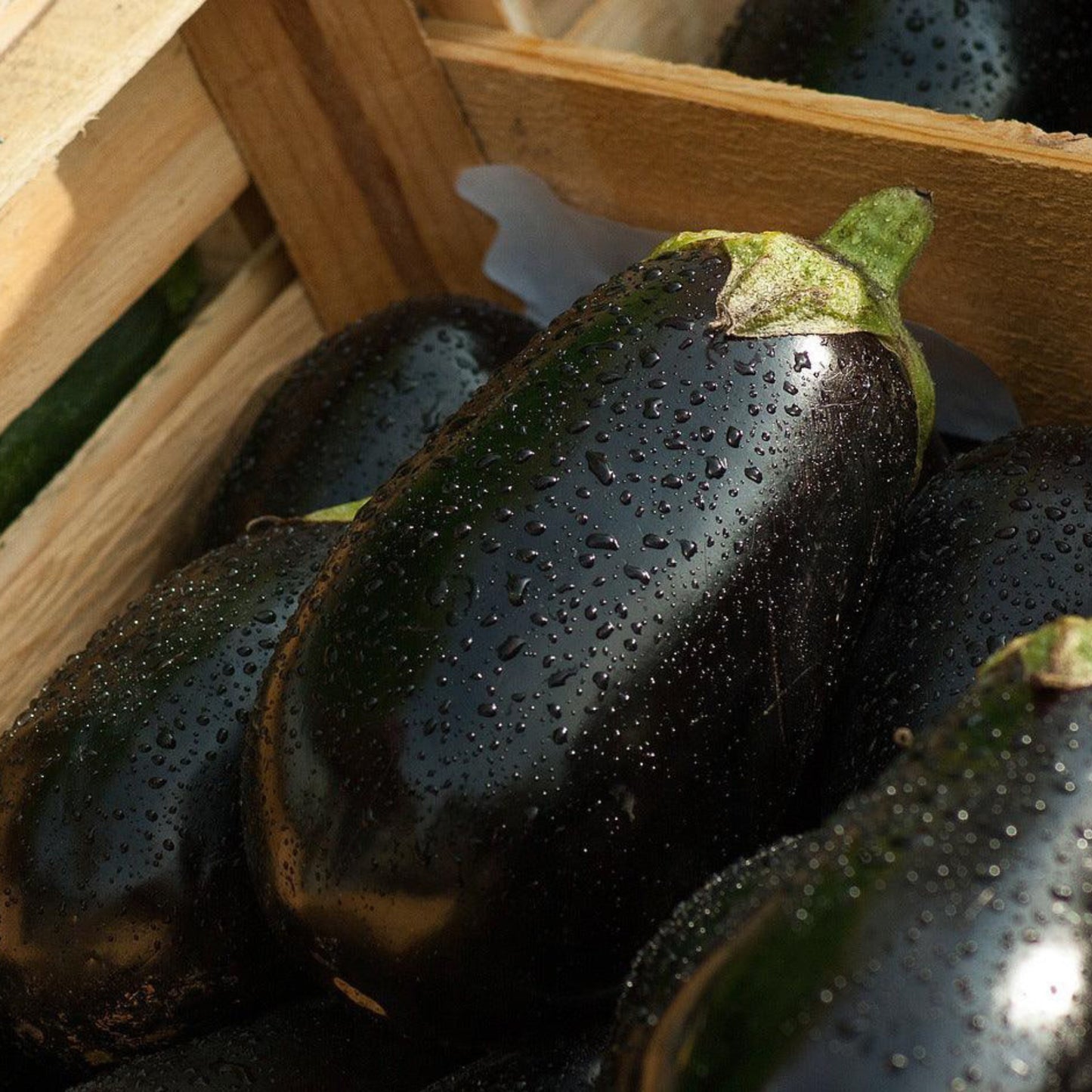 Build Your Own Heirloom Seed Collection