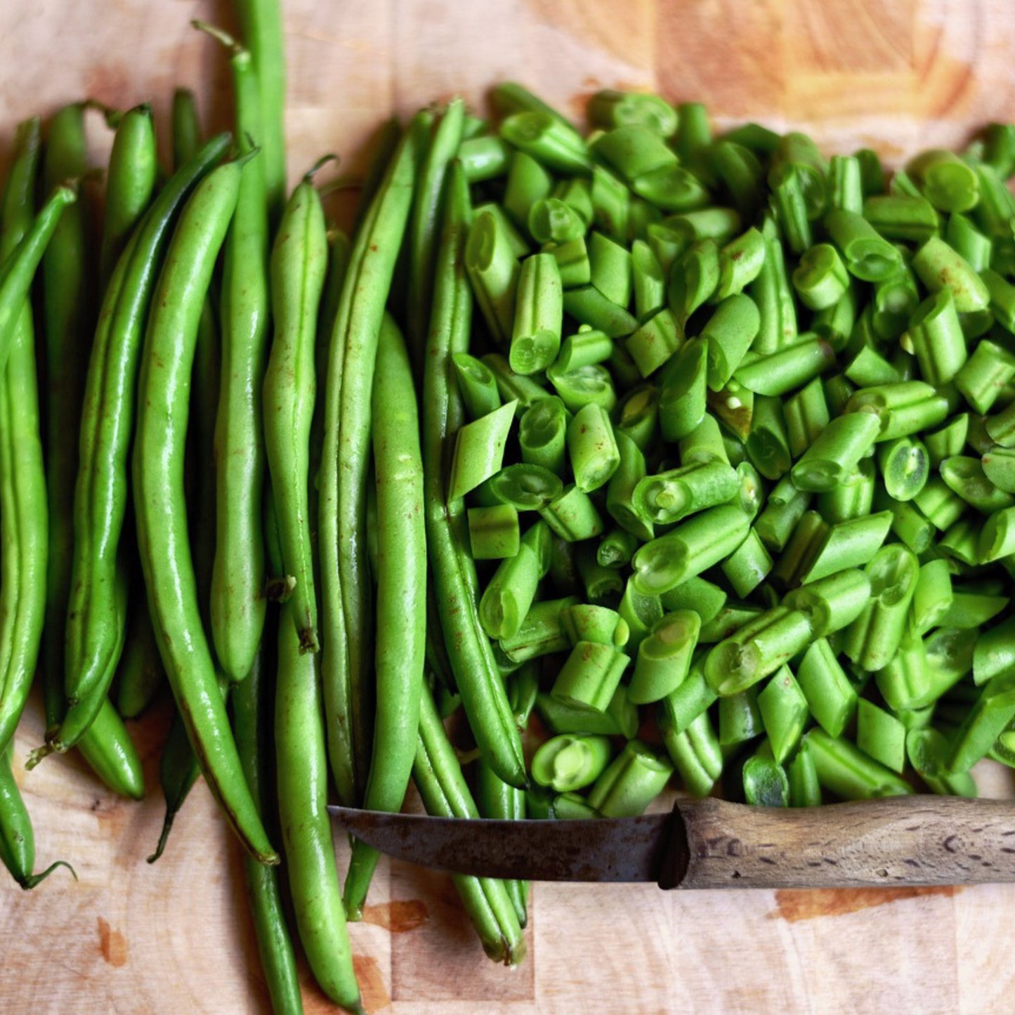 Build Your Own Heirloom Seed Collection