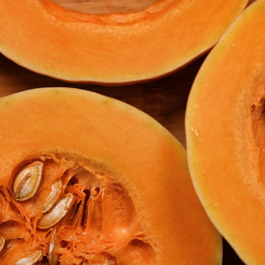 Close-up of freshly harvested Waltham Butternut squash with smooth tan skin, ideal for storage and cooking.