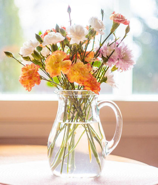Clove Carnation Chabaud Mix - Cheap Seeds, LLC