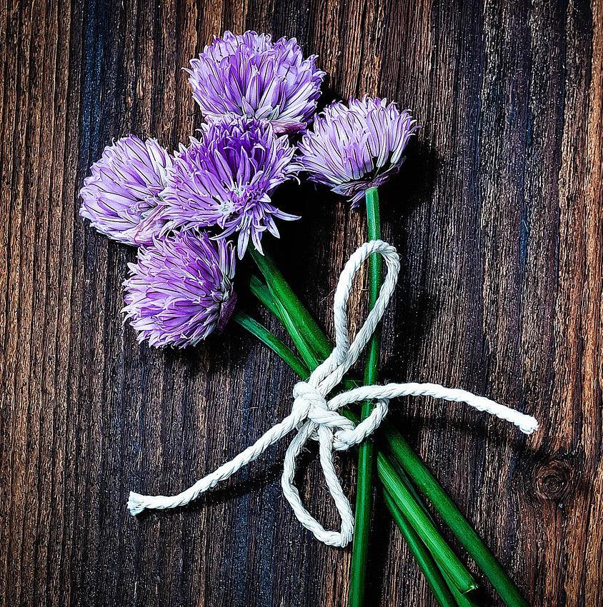 Common Chives - Cheap Seeds, LLC