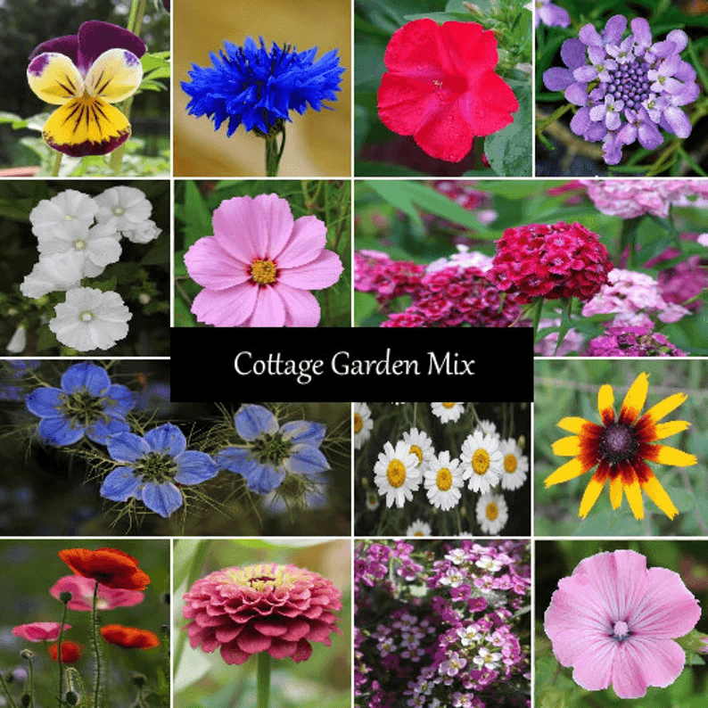 Cottage Garden Seed Mixture - Cheap Seeds, LLC