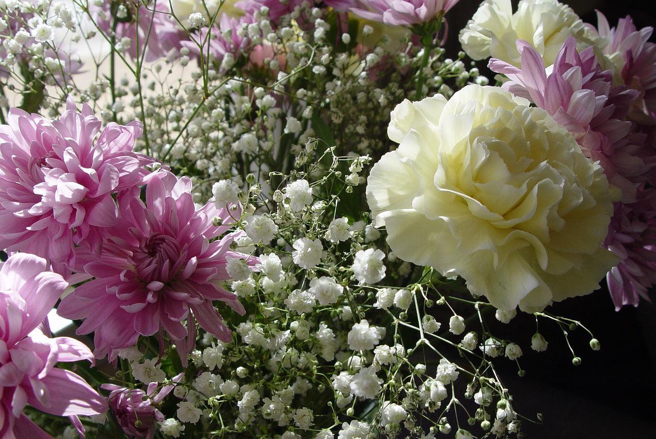 Cut Flower Mix - Cheap Seeds, LLC