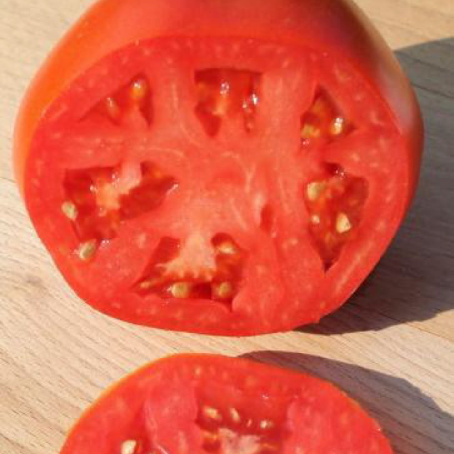 Druzba Tomato