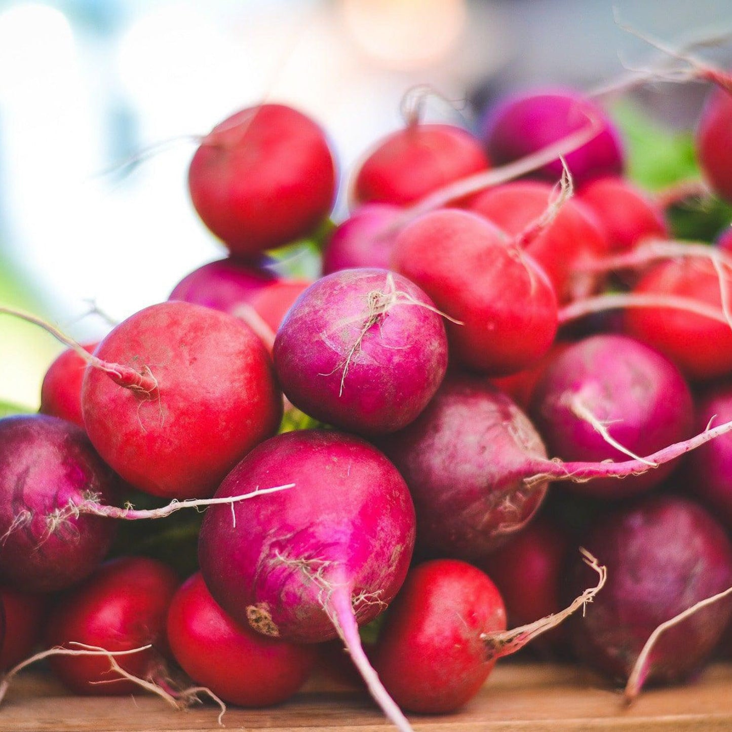Build Your Own Heirloom Seed Collection