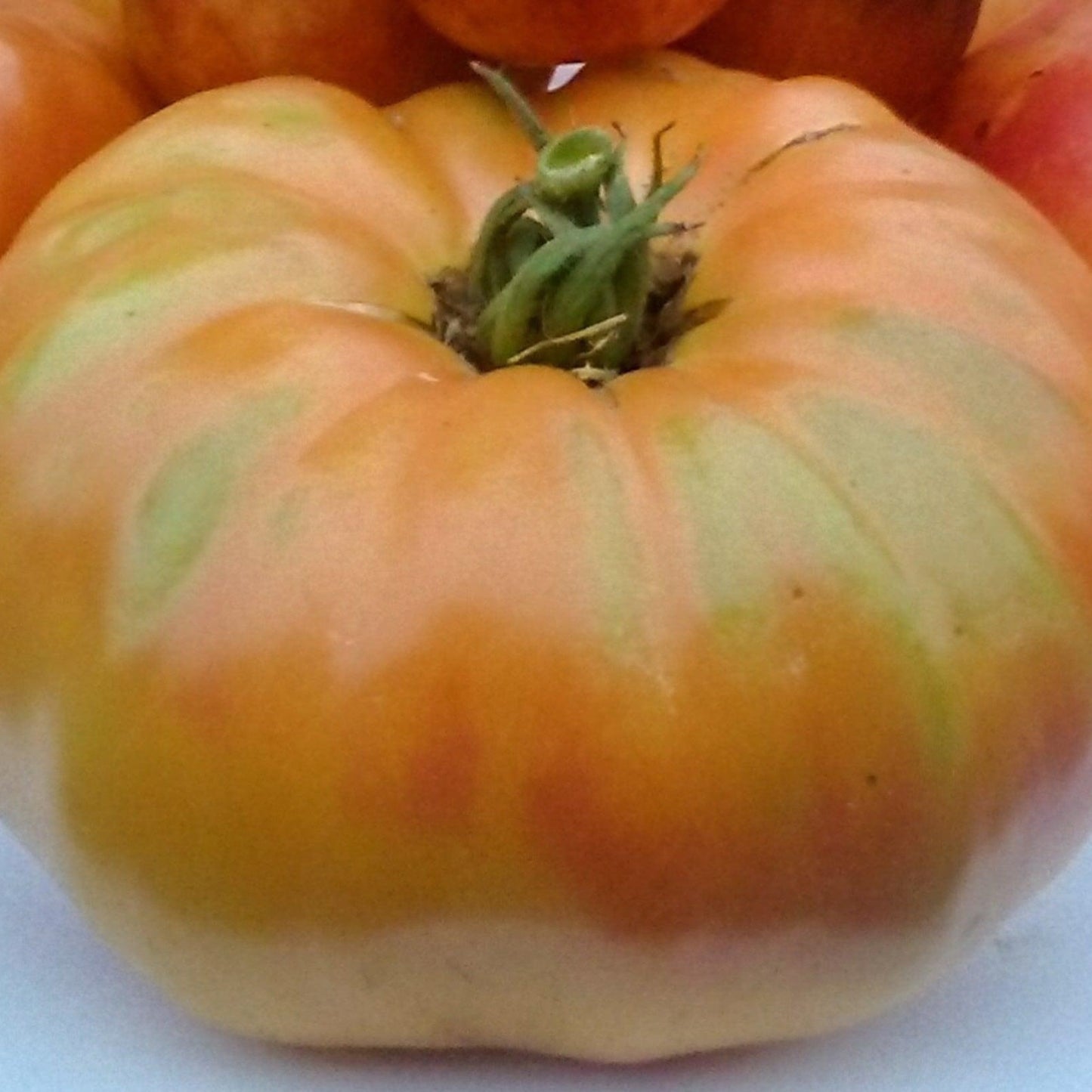 Edd's Special Tomato