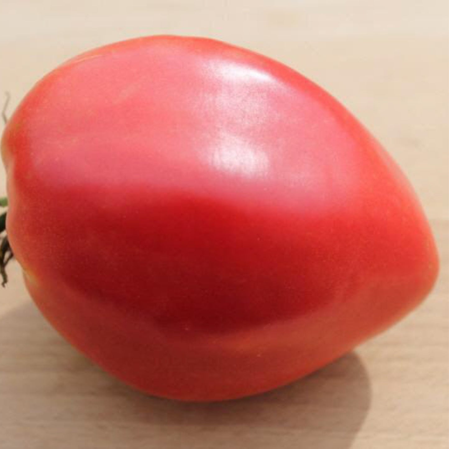 Hays' Tomato