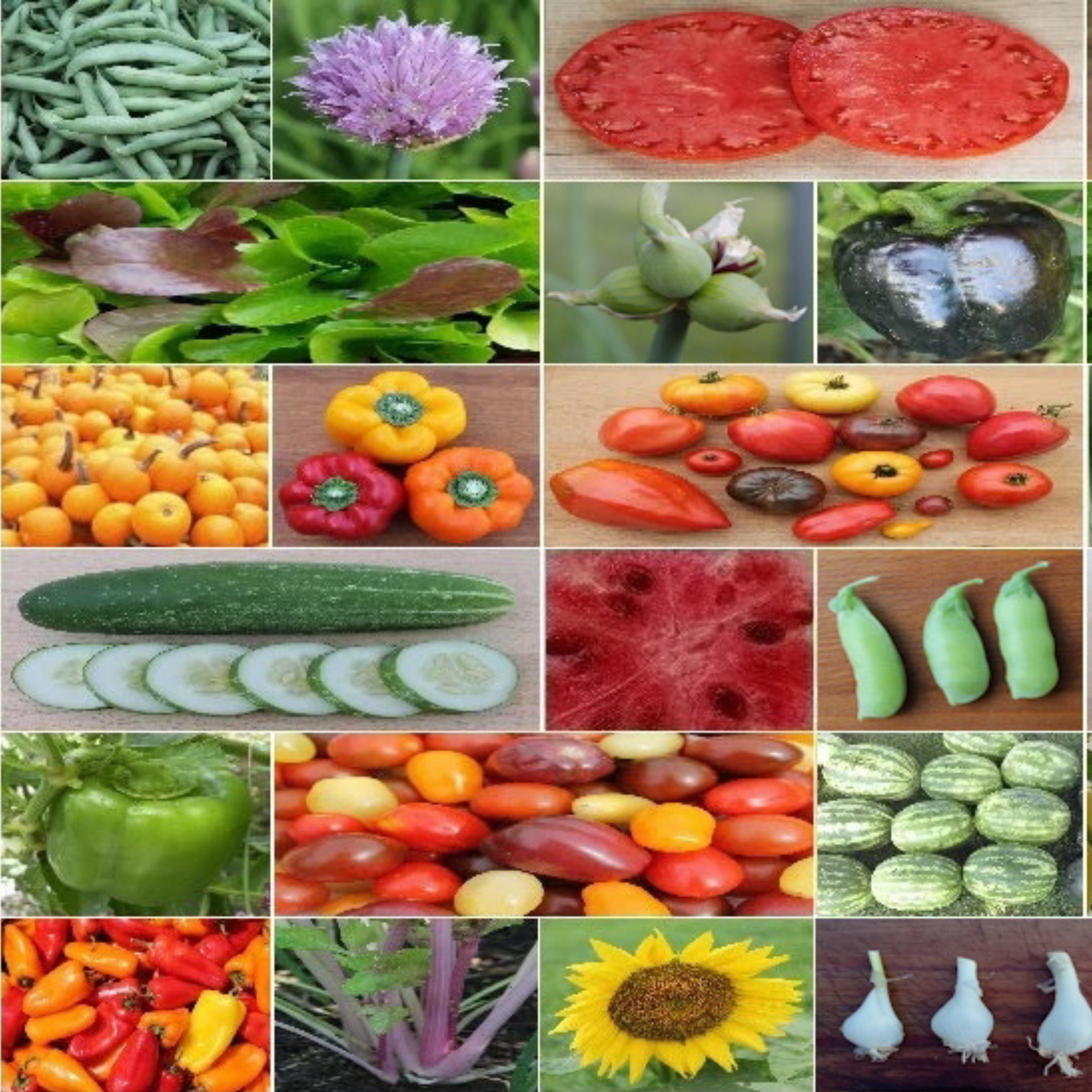 Build Your Own Heirloom Seed Collection