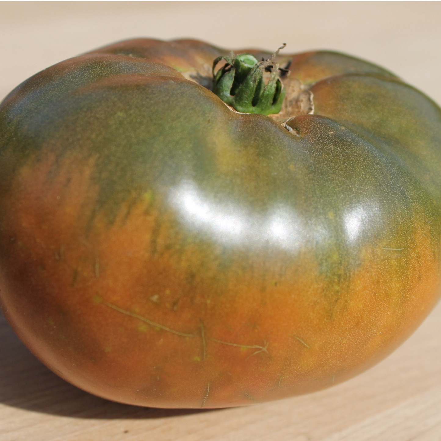 Large ripe Blackberry heirloom tomato with dark mahogany skin and green shoulders on a wooden surface.