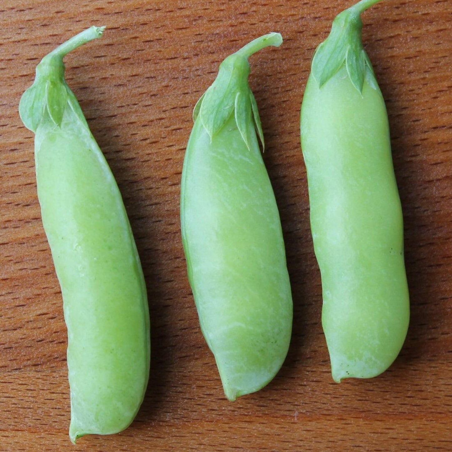 Build Your Own Heirloom Seed Collection