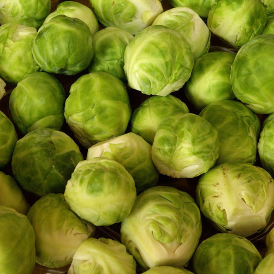 Long Island Brussels Sprouts