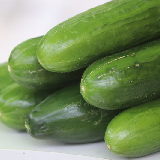 Muncher Cucumber