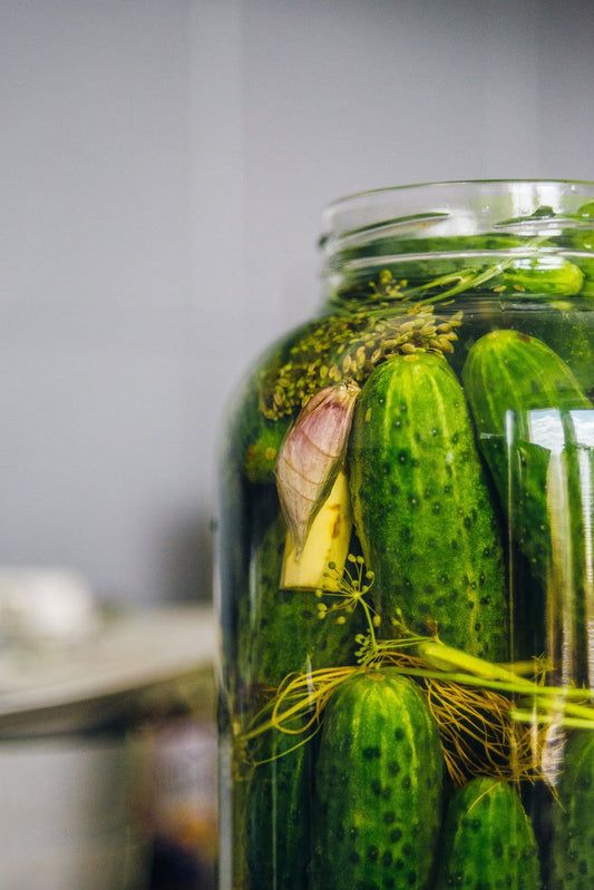 Boston Pickling Cucumber