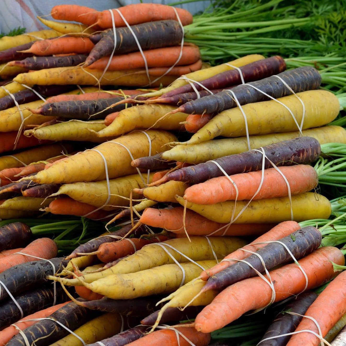 Build Your Own Heirloom Seed Collection