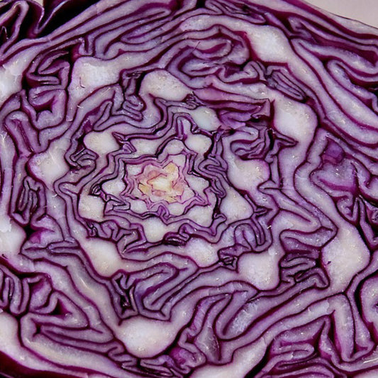 Red Acre Cabbage
