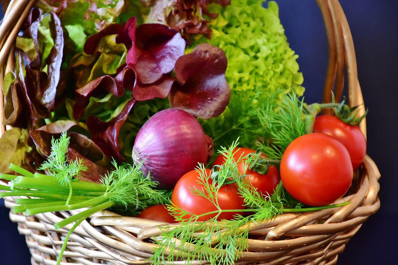 Red Burgundy Onion - Cheap Seeds, LLC