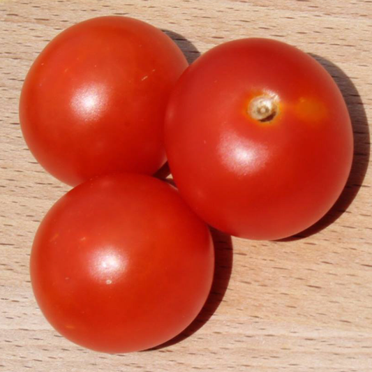 Close-up of ripe Red Robin micro dwarf cherry tomatoes displayed on a wooden table.