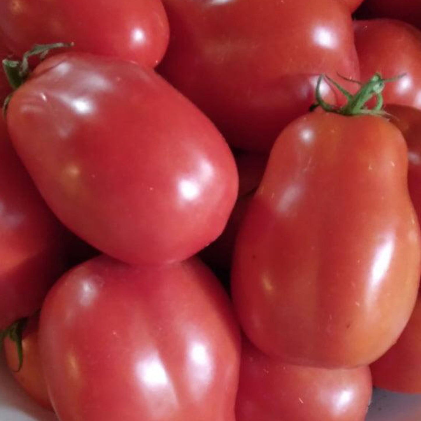 Build Your Own Heirloom Seed Collection
