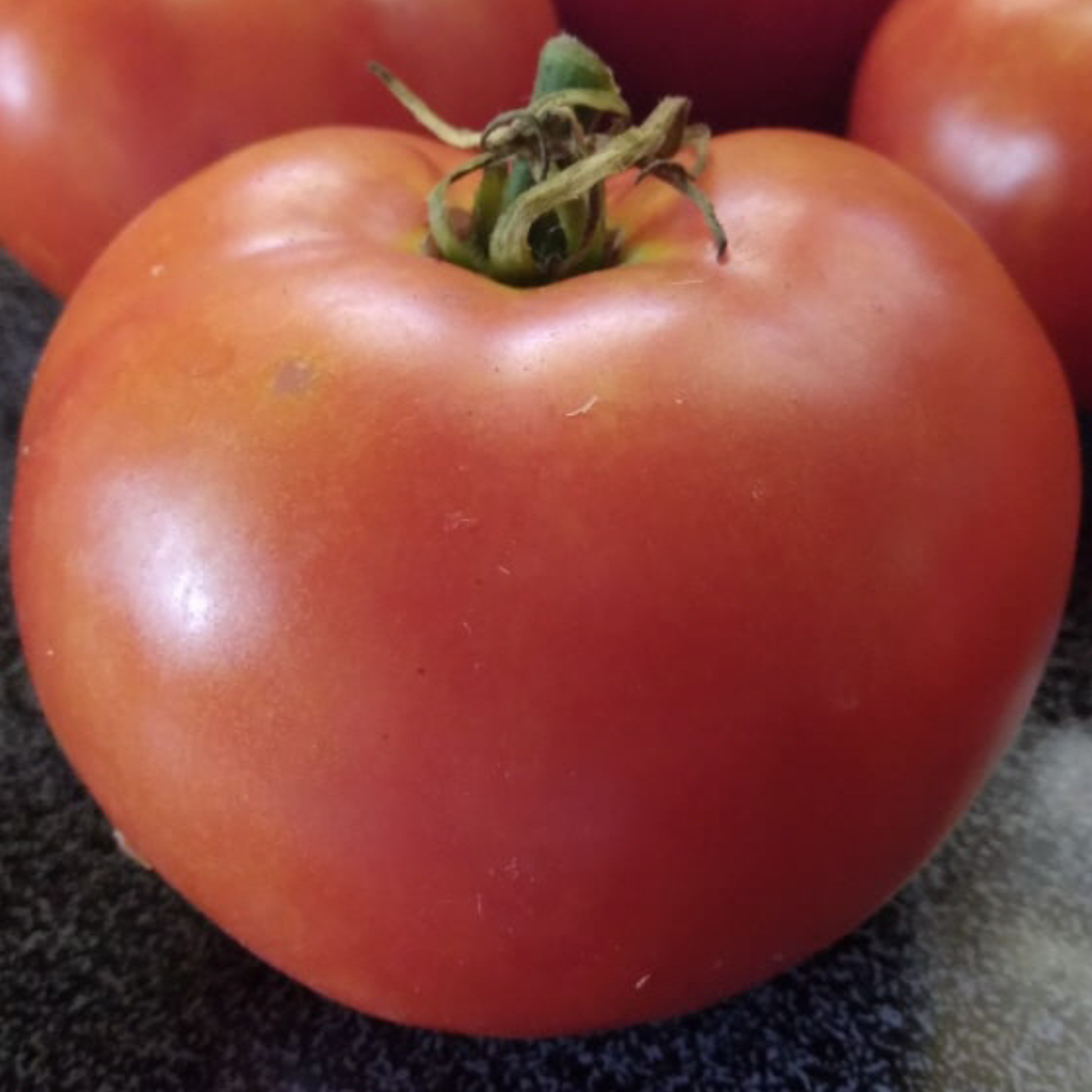 A close-up of a ripe red tomato with a green stem, resting on a dark textured surface with other tomatoes blurred in the background.