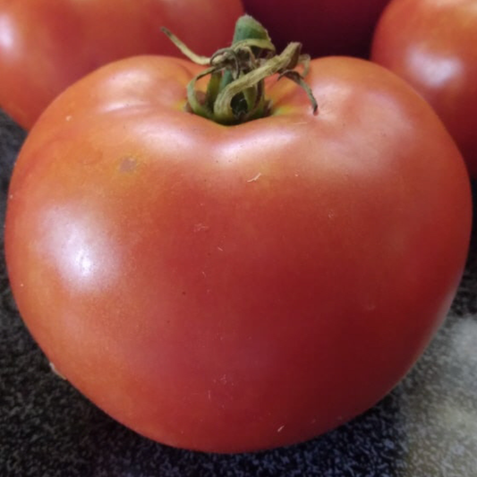 A close-up of a ripe red tomato with a green stem, resting on a dark textured surface with other tomatoes blurred in the background.
