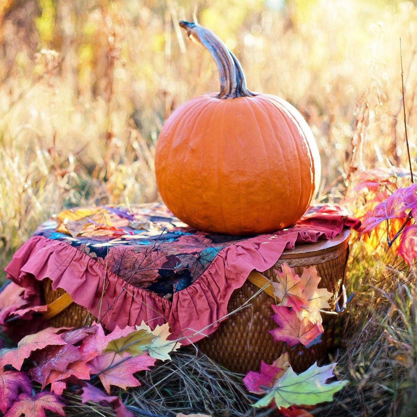 Build Your Own Heirloom Seed Collection