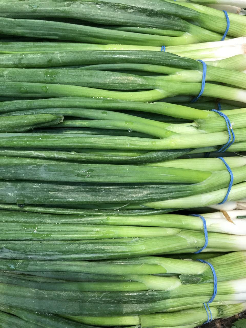 Tokyo Long White Bunching Onion - Cheap Seeds, LLC