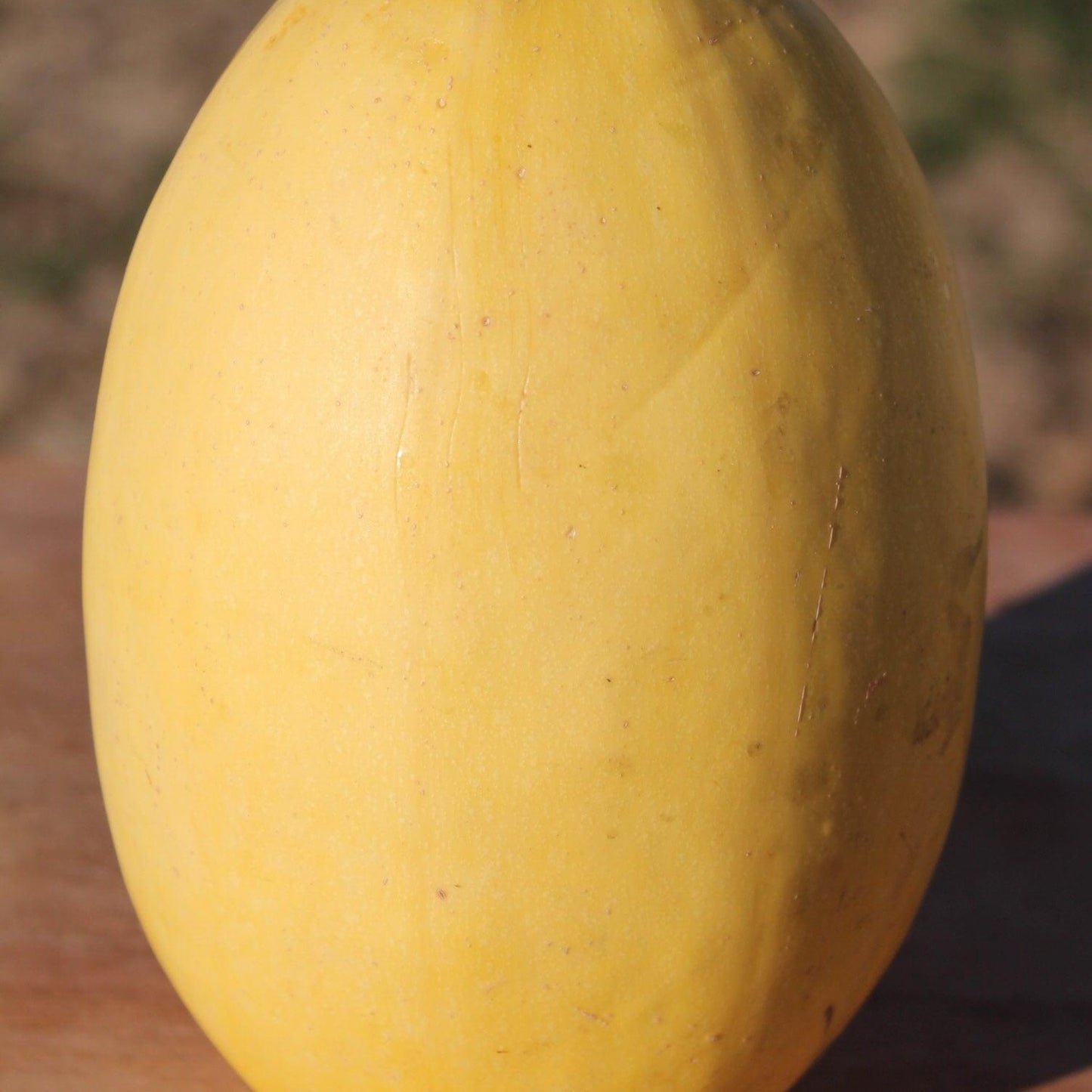 Build Your Own Heirloom Seed Collection