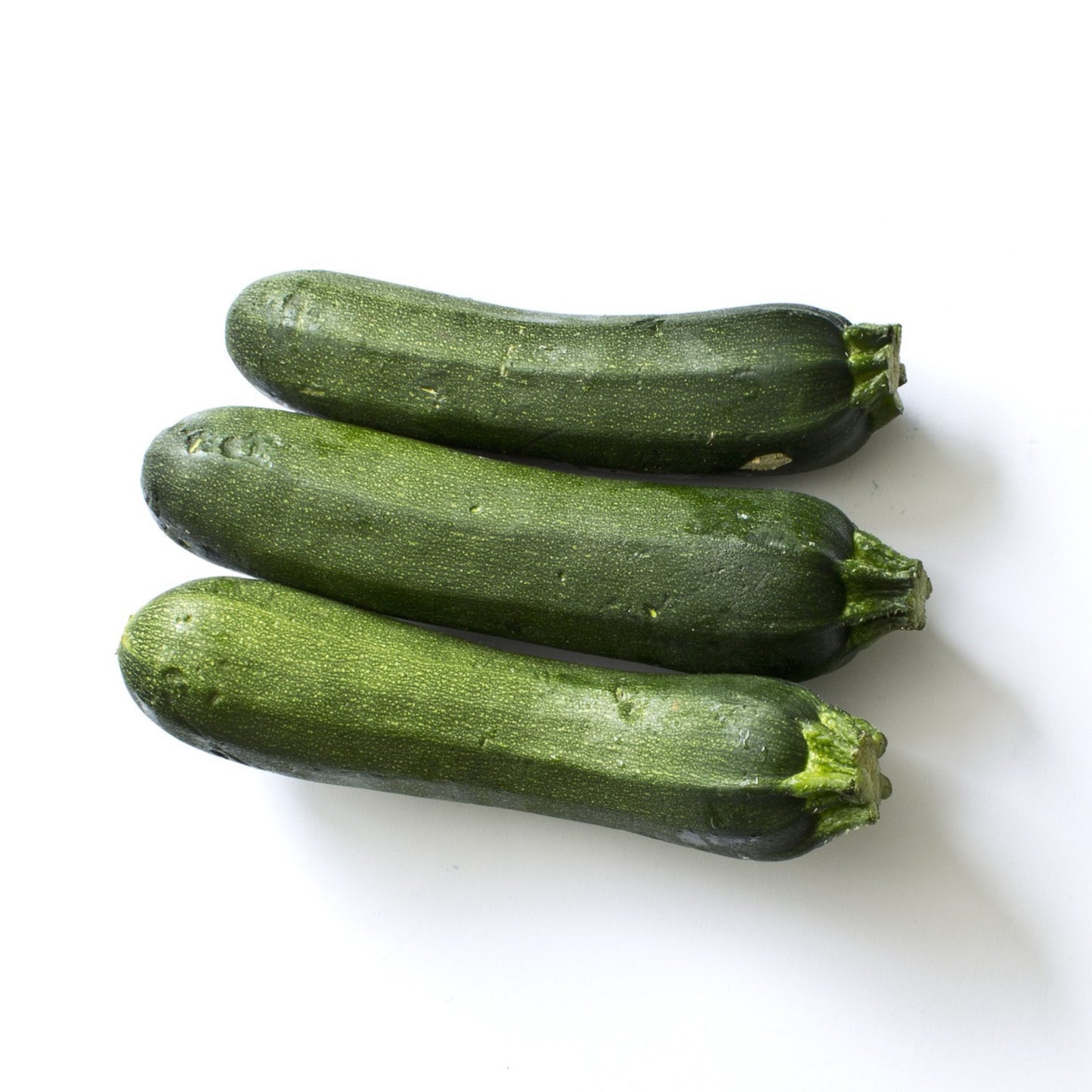 Black Beauty Summer Squash Zucchini